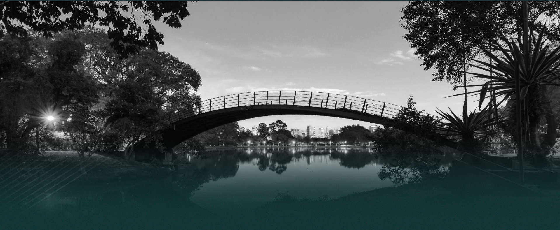 Vista Do Parque Ibirapuera – Próximo Ao The Only Moema Imagem Da Ponte No Parque Ibirapuera Próximo Ao Empreendimento The Only Moema